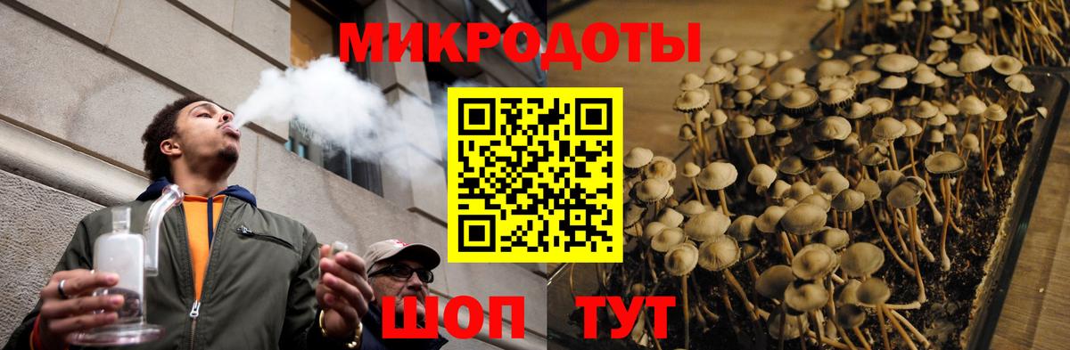 Псилоцибиновые грибы Psilocybine cubensis Магнитогорск