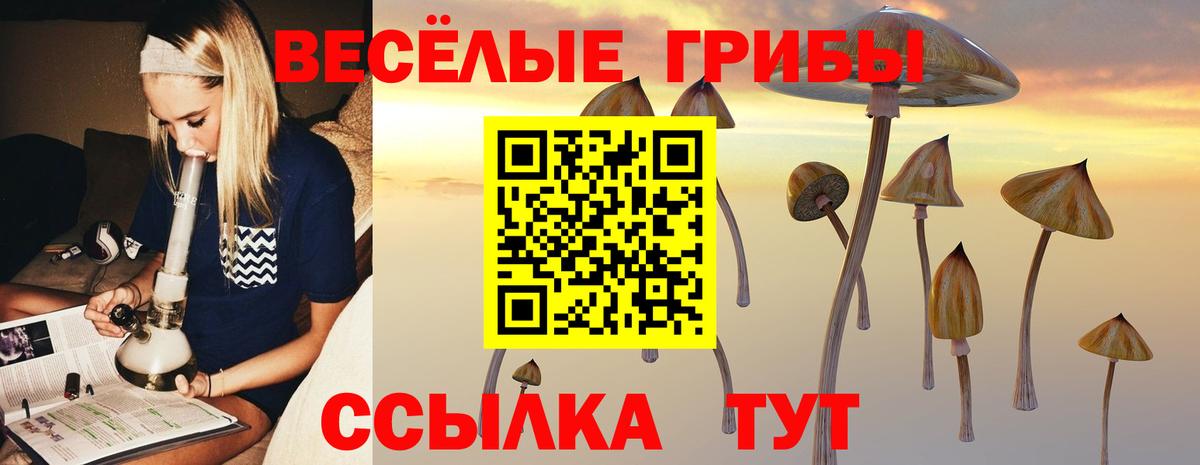 Псилоцибиновые грибы мицелий  Вход с VPN  Галлюциногенные грибы Psilocybine cubensis  Магнитогорск 